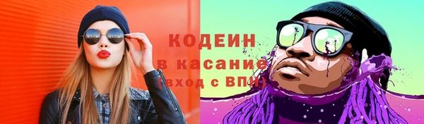 соль ск Гусиноозёрск