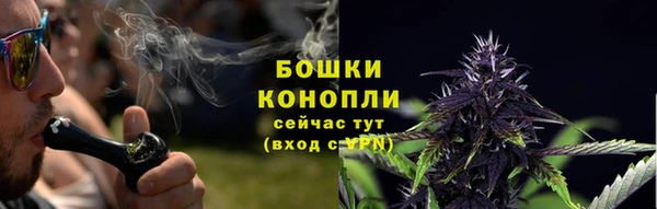 прущая мука Гусев