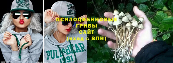 стафф Гусь-Хрустальный