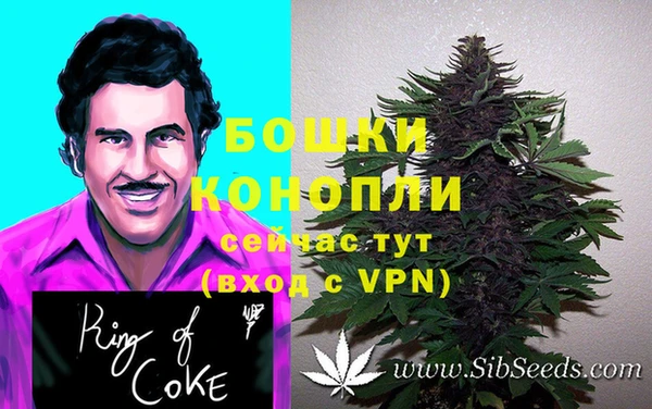 соль ск Гусиноозёрск