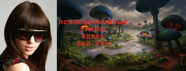 стафф Гусь-Хрустальный