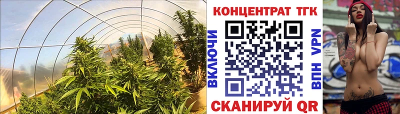 где можно купить наркотик МЕГА зеркало ТГК жижа Онега