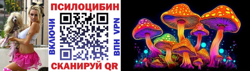 дарнет шоп  KRAKEN маркетплейс  Псилоцибиновые грибы Psilocybine cubensis  Онега 